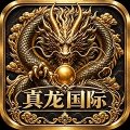 真龙国际